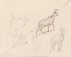 Ferdinand Karl Gold (b.1882) "Animalist Studies", Two Drawings, 1922 - Picture 1 of 2