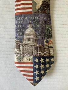 Eagles Wings Men's Necktie Tie Silk Satin Capitol We The People Flag Liberty 58" - Picture 1 of 9