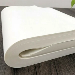 100 Sheets Chinese Raw Rice Paper Strong Ink Absorption Calligraphy Supplies New - Picture 1 of 11