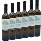 Vino Bianco Falanghina Beneventano Igp x 6 Bottiglie 0.75ml