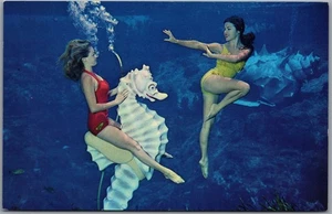 Postcard Weeki Wachee Florida Live Mermaids Spring Attraction Pretty Ladies - Bild 1 von 2