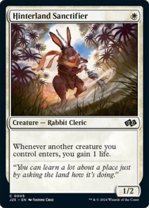 Hinterland Sanctifier 5 Non-Foil NM MTG J25 Magic - Picture 1 of 1