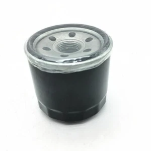 Filtro olio per Hisun UTV ATV 250.400.450.500,550.700.750 Motore Massimo,Bennche - Foto 1 di 5