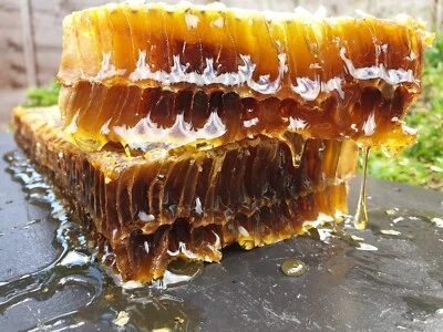 Dark Honeycomb -1000 grams  - Organic Honey 2025 Harvest - Image 1 of 4