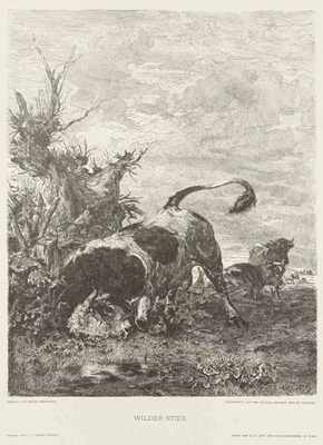 KNESING (*1840) nach WEISHAUPT (*1848), Tierdarstellung. Wilder Stier, Repro - Bild 1 von 4