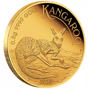 Goldmünze Känguru Mini Roo 2025 - Australien - in Blisterkarte - 1/62 Oz PP - Bild 1 von 5