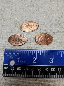 Centavo alargado prensado cangrejo de Oregón junto al mar, Red Rock Colorado, Hatfield Maine - Imagen 1 de 5