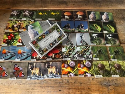 merk|würdig Merkspiel /Memory "Wald & Wiese" mit 20 Bildpaaren - Bild 1 von 3