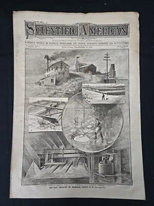 Scientific American Magazine December 13 1890 Salt Industry Onondaga County NY - Picture 1 of 8