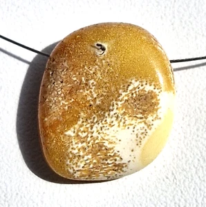 COLGANTE ÁMBAR BÁLTICO GENUINO (con hilo de metal) yema de huevo caramelo insecto - Imagen 1 de 18