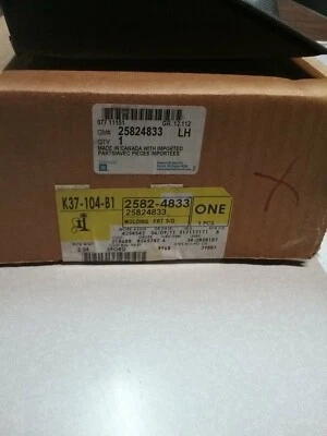 Genuine GM Dark Smoke Gray Front Driver Side Door Lower Molding 25824833 - Image 1 of 3