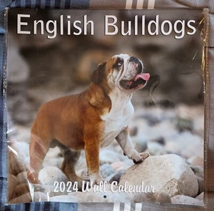 Monatlicher Wandkalender Englische Bulldoggen 2024 zum Aufhängen - Bild 1 von 5