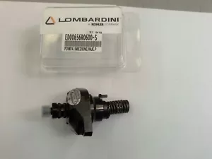 INYECTOR DE MOTOR DIÉSEL LOMBARDINI 25LD 330-2 BOMBA DE COMBUSTIBLE RUGGERINI MD150 - Imagen 1 de 1