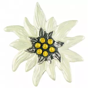 KUEHN Hand Painted Pewter Edelweiss Lapel or Hat Pin From Germany...Large White - Picture 1 of 1