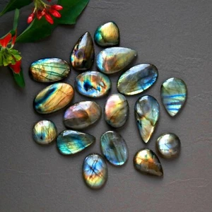17 Pcs 204 Cts Natural Labradorite Cabochon Gemstone Lot 14x14-26x14mm #12950 - Picture 1 of 9