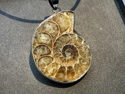 Collar colgante de plata de piedras preciosas fósiles de amonita genuino natural de colección Foto 1 de 4
