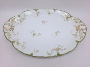 Vintage Haviland Limoges France Oval Platter - Picture 1 of 9
