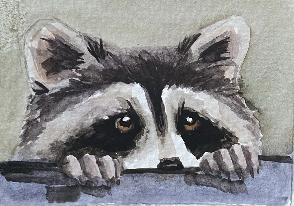 ACEO Original Mixed Media Painting Art Raccoon - Image 1 of 1