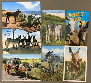 #T4918 LOTE DE POSTALES DONKEYS, 7 DIF. TARJETAS - Imagen 1 de 2