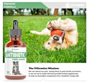 NATURAL ANTIBIOTICS FOR DOGS | DOG ANTIBIOTICS | SUPPORTS DOG ALLERGY RELIEF - Picture 1 of 7