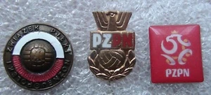 Colección antiguo y nuevo pin FA Polonia - Imagen 1 de 1