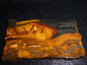 Mara Mamba Tiger Eye slab- 6 1/4   " x 3 1/4" -rough for cabbing or display - Picture 1 of 3