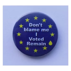 "Dont blame me, I voted Remain" EU Brexit Referendum Abzeichen, Magnet, Schlüsselanhänger - Bild 1 von 7