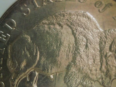 2005-D 5C “SPEARED BISON” Nickel MS65 Reverse die gouge 696-005 - Image 1 of 3