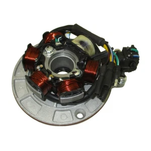 Magneto Stator W/ Light For YX 140cc Pit Dirt Bikes PitsterPro Stomp Thumpstar - Bild 1 von 5