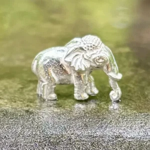 Estatua de ídolo Hathi elefante sólido religioso hindú de plata 999 8 gm remedio rahu - Imagen 1 de 7