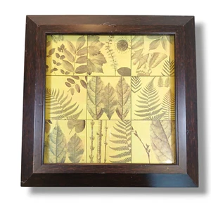 Patti Sechi Framed Botanical Print 15x15 Green Leaf Bohemian Nature Art - Picture 1 of 11