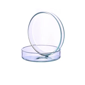 MICROSCOPE GRADE BOROSILICATE GLASS PETRI DISH 100mm x 15mm GRADE A'  BASE & LID - Picture 1 of 3