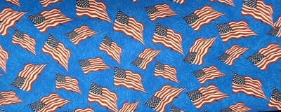 BTY X 44"W Fabric USA Flags On Tone on Tone Blue By Santee Patriotic Quilting  - Image 1 of 4