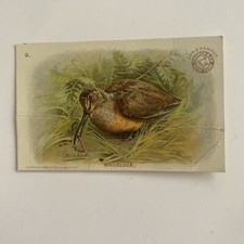 Useful Birds of America Church & Dwight Card Number 9 Woodcock Crease See Photo