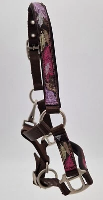 Halfter Wings Feder Minishetty Mini Shetty Fohlen MMS Braun Blau Fohlenhalfter - Bild 1 von 4