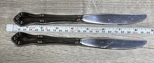 Oneida Deluxe SSS Stainless Steel CELEBRITY Lot of 2 Dinner Knives - Picture 1 of 4