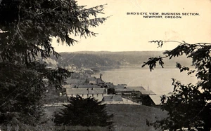 Newport Oregon Business Section Birds Eye View Vintage Postcard Real Photo RPPC - Picture 1 of 2