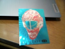 2006-07 IN THE GAME MASK IV INSERT # M-31- JIMMY HOWARD- RED WINGS- MINT