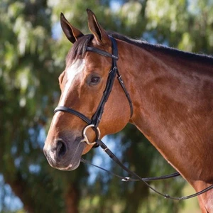 Wintec Synthetic Cavesson Bridle Lightweight Durable Black/Brown Pony/Cob/Full - Picture 1 of 4