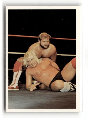 1988 Wonderama WCW NWA - Arn Anderson / Barry Windham #130 - Image 1 of 2