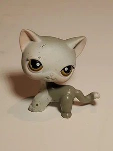 Littlest Pet Shop LPS pelo corto gatto 138 grigio bianco gattino 2004 Hasbro - Foto 1 di 11