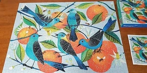 Galison Jigsaw Puzzle Naranjas Vibrant Birds & Oranges 1000 pc Complete w/Poster - Picture 1 of 9