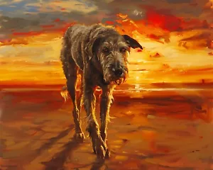 8x10 Matte Print: Majestic Irish Wolfhound with Serious Expression in Moti - Picture 1 of 4