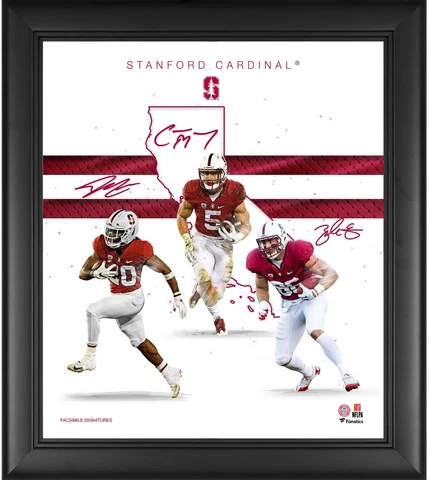 Stanford Cardinal Framed 15x17 Franchise Foundations Collage Cover