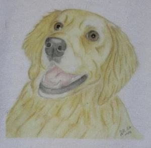Golden Retriever T-Shirt or Sweatshirt Children and Adult Sizes - 2 designs - Picture 1 of 2
