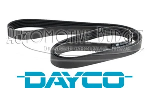 Cinturón Serpentine para Ferrari 458 - NUEVO Dayco - Imagen 1 de 1