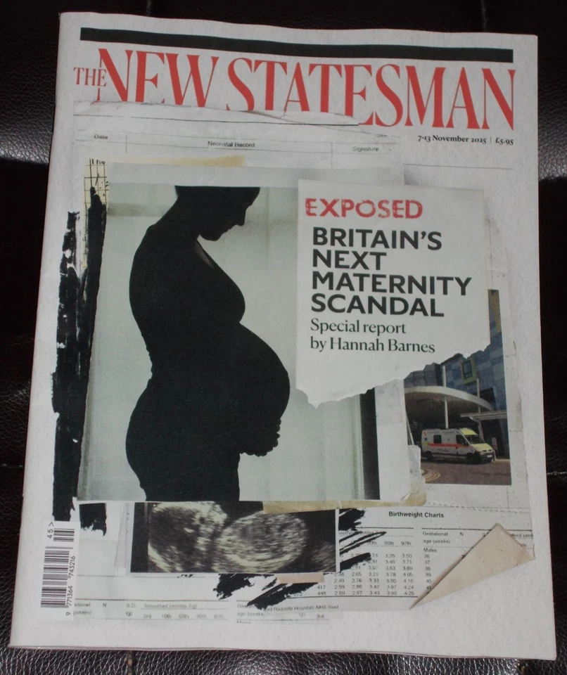 NEW STATESMAN MAGAZINE - 7th November 2025 - New - Image 1 of 1