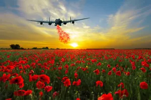 Avro Lancaster Amapola Drop Field Impresiones Lienzo Varios Tamaños Envío Gratuito - Imagen 1 de 5