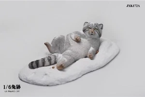 Cute Pallas's Cat JXK172A 1/6 Resin Model Animal Figures Statues Collection Gift - Picture 1 of 3