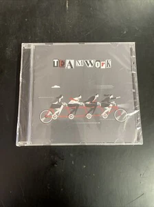 Blind Passenger “Teamwork” (2022 CD) Wannsee Synthpop Futurepop Import NEW - Picture 1 of 2